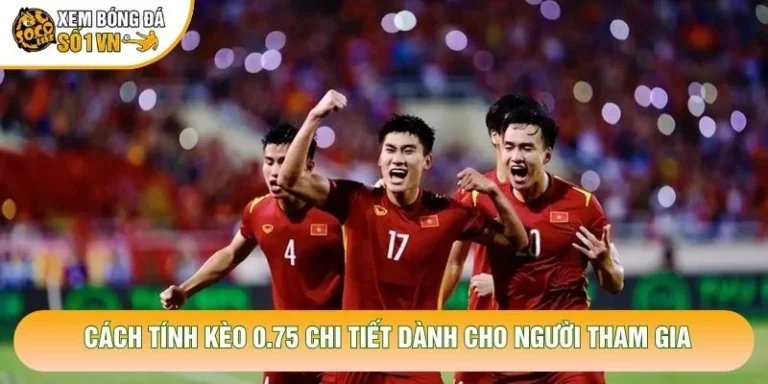 Cách Tính Kèo 0.75 Chi Tiết Dành Cho Người Tham Gia
