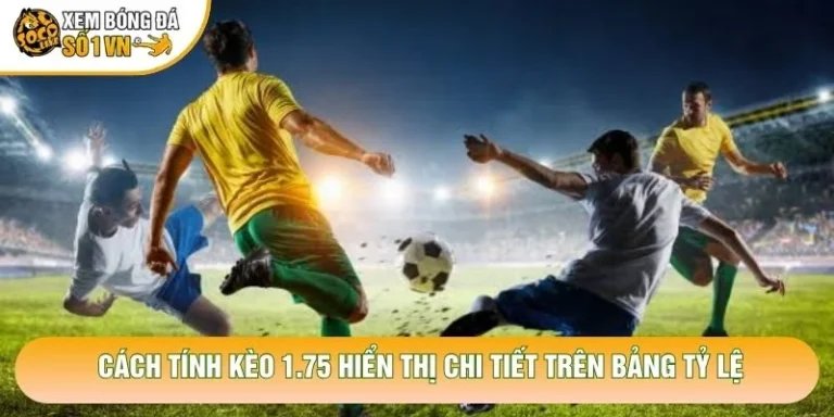 Cách Tính Kèo 1.75 Chuẩn Xác Trong Cá Cược Bóng Đá