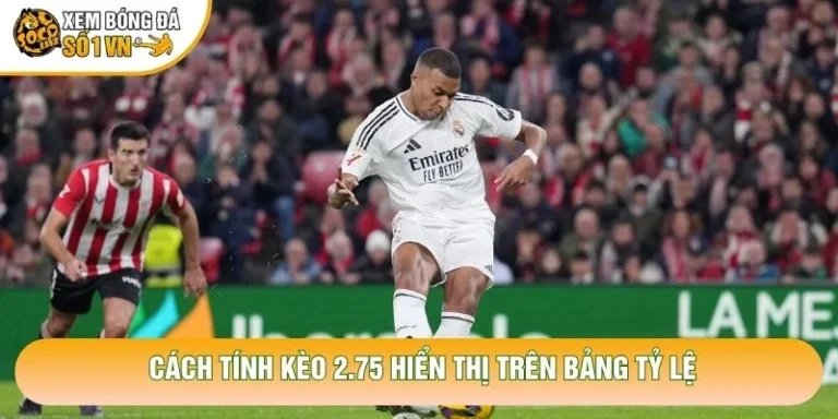 Cách Tính Kèo 2.75 Chính Xác Nhất Cho Tất Cả Hội Viên