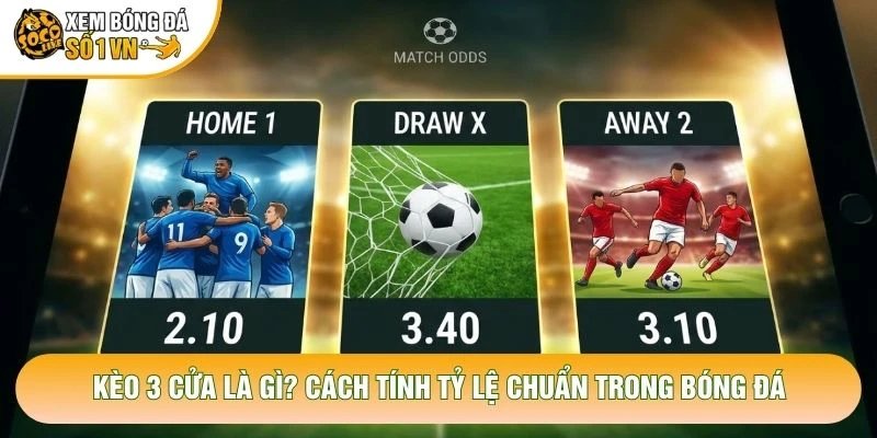Kèo 3 Cửa Là Gì? Cách Tính Tỷ Lệ Chuẩn Trong Bóng Đá