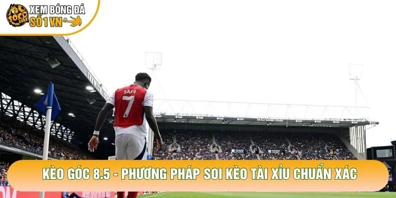 Kèo Góc 8.5 – Phương Pháp Soi Kèo Tài Xỉu Chuẩn Xác