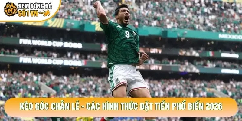 Kèo Góc Chẵn Lẻ – Các Hình Thức Đặt Tiền Phổ Biến 2026